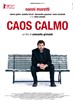 平静的躁动/Caos calmo(2008)