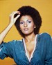 帕姆·格里尔 Pam Grier)