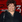 Patricia Belcher