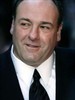 詹姆斯·甘多菲尼 James Gandolfini