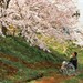花火 剧照 #05