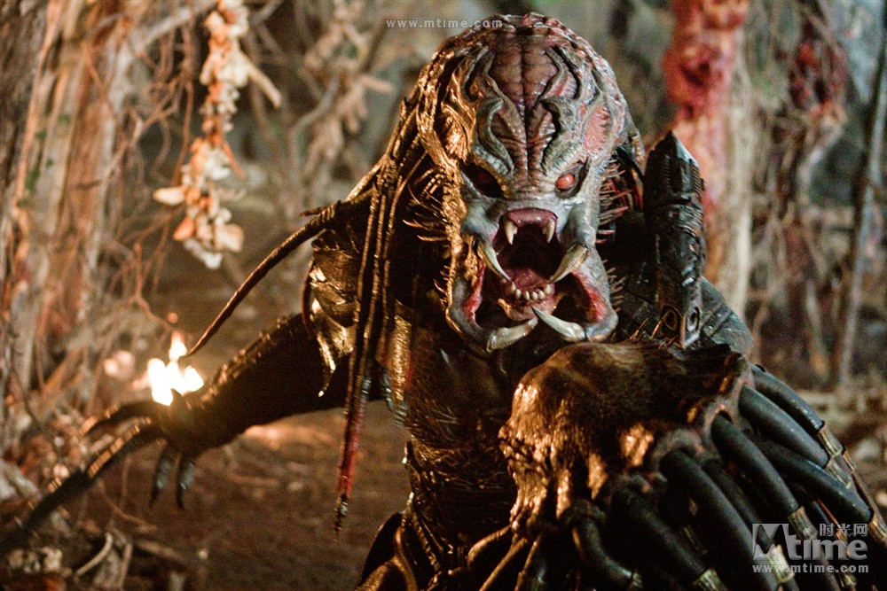 2010惊悚科幻电影《新铁血战士》完整版在线观看 - 嘀哩哩