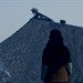 剧照 #08 省略图