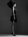 写真 #183：章子怡 Ziyi Zhang