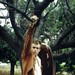 写真 #70：詹姆斯·迪恩 James Dean