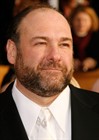 生活照 #42：詹姆斯·甘多菲尼 James Gandolfini