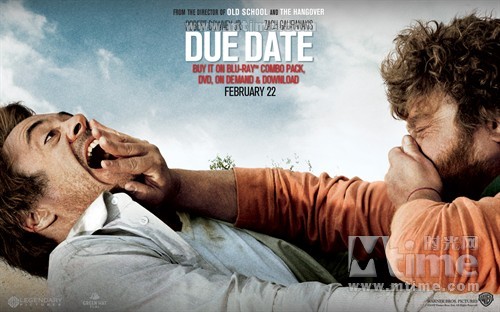 预产期 桌面 #06B