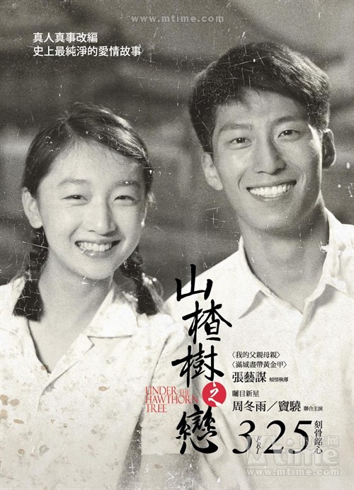 山楂树之恋The Love of the Hawthorn Tree(2010)预告海报(中国台湾) #02
