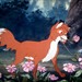 狐狸与猎狗 剧照 #17