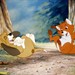 狐狸与猎狗 剧照 #14