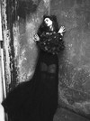 写真 #345：安妮·海瑟薇 Anne Hathaway