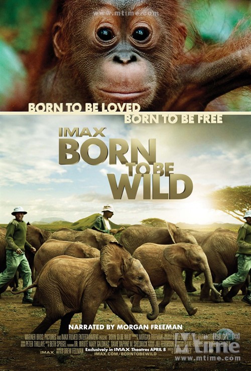 回归野性born to be wild(2011)海报 #01