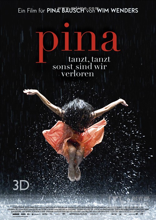皮娜Pina(2011)海报 #01