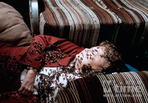 杀人蜂+剧照+#09