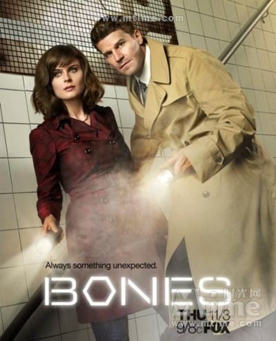 识骨寻踪Bones(2005)海报 #14