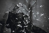 写真 #55：杰瑞米·雷纳 Jeremy Renner
