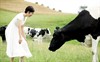 写真 #43：蒋雯丽 Wenli Jiang