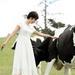 写真 #44：蒋雯丽 Wenli Jiang