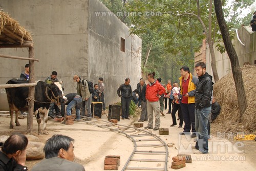 孙子从美国来 工作照 #05