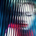 写真 #374：麦当娜 Madonna
