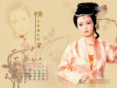 秦可卿——张蕾 饰