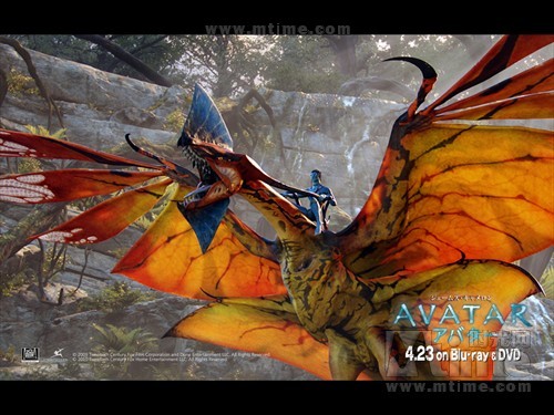 算2009年的电影,但开启了2010年的骑行之旅)《阿凡达》2010年即将过去