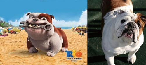 细数《里约大冒险》的那些角儿们