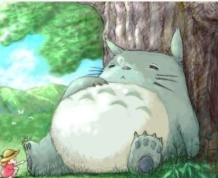 猫になりたい(想要变成猫)— つじあやの (过亚弥乃)