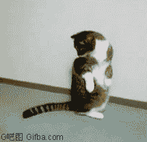这表情太到位太喜感了