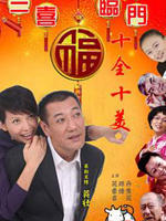 十全十美之三喜临门海报