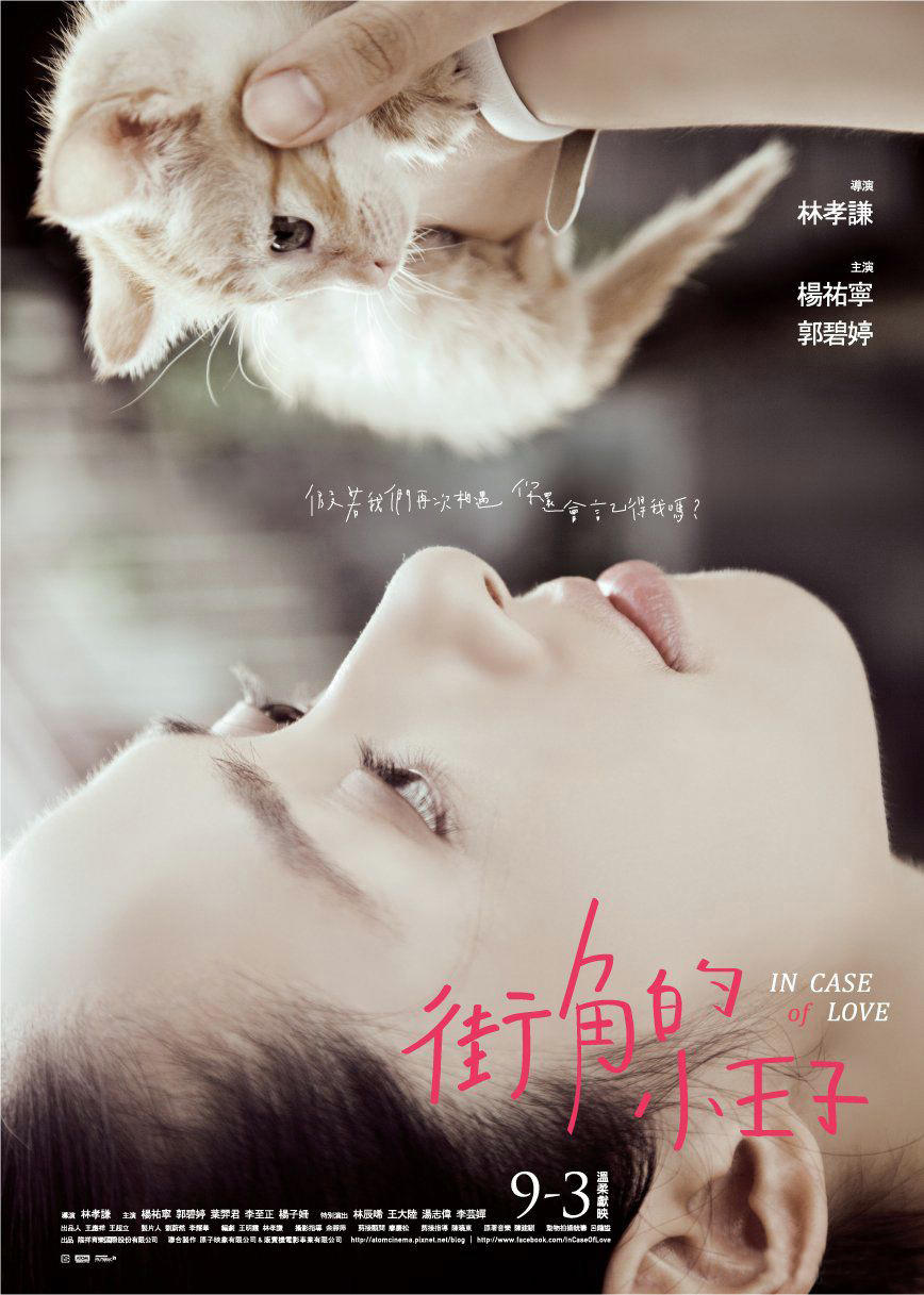 街角的小王子海报