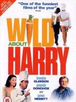 Wild About Harry海报