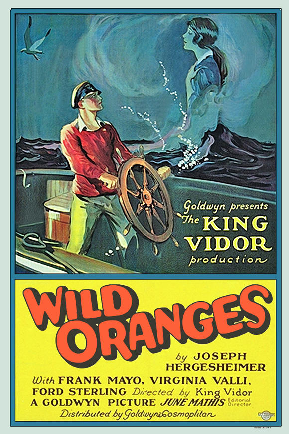 野生柑橘的滋味海报
