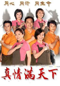 真情满天下海报