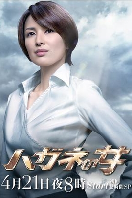 钢之女2(2011年 日本 电视剧"钢之女"芳贺稻子(吉濑美智子饰)负责的4