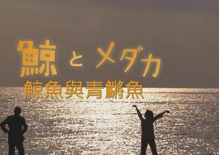 鲸鱼与青鱂鱼海报