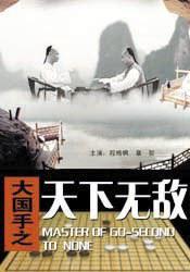 大国手之天下无敌海报