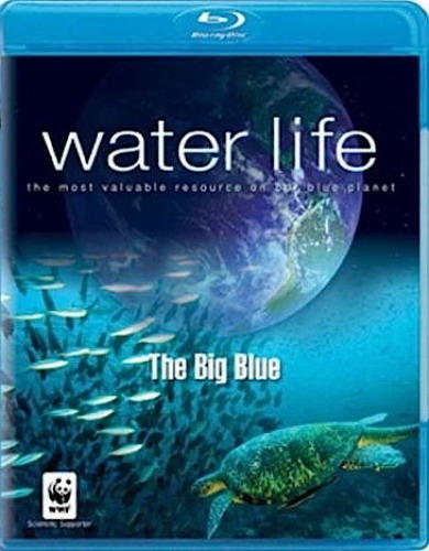 水世界海报