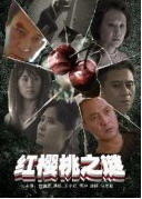 红樱桃之谜海报