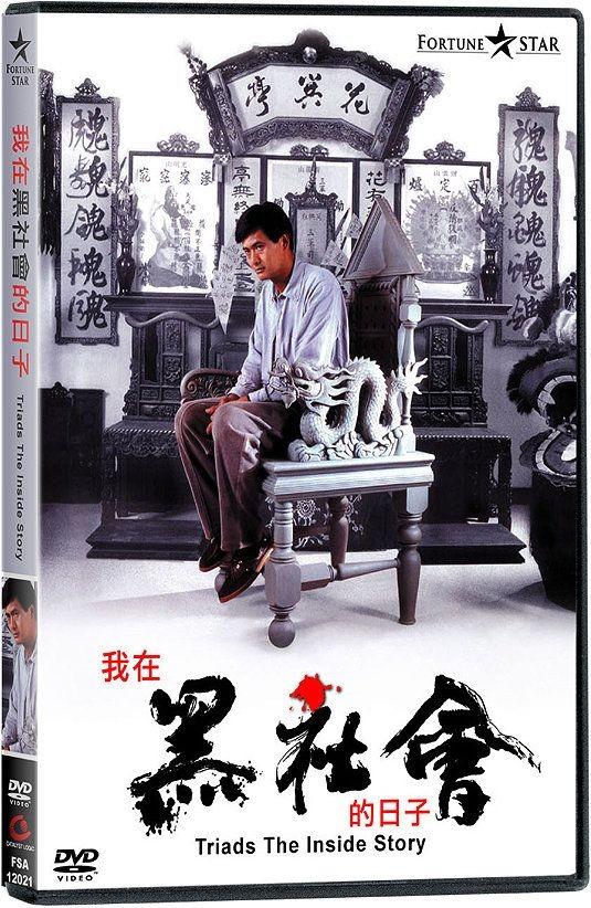 我在黑社会的日子海报