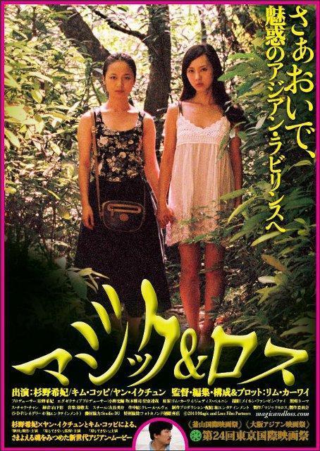 魔法与迷失海报