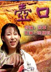 壶口情海报