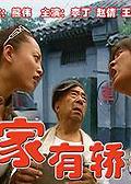 家有轿车海报
