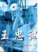 王忠诚海报