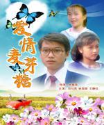 爱情麦芽糖海报