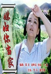 媳妇你当家海报