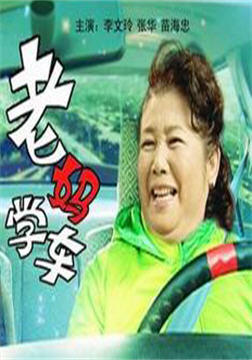 老妈学车海报