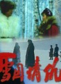 雪国情仇海报