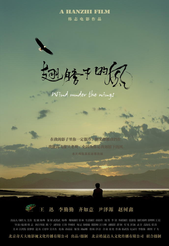 翅膀下的风海报