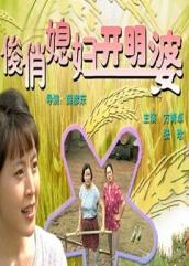 俊俏媳妇开明婆海报